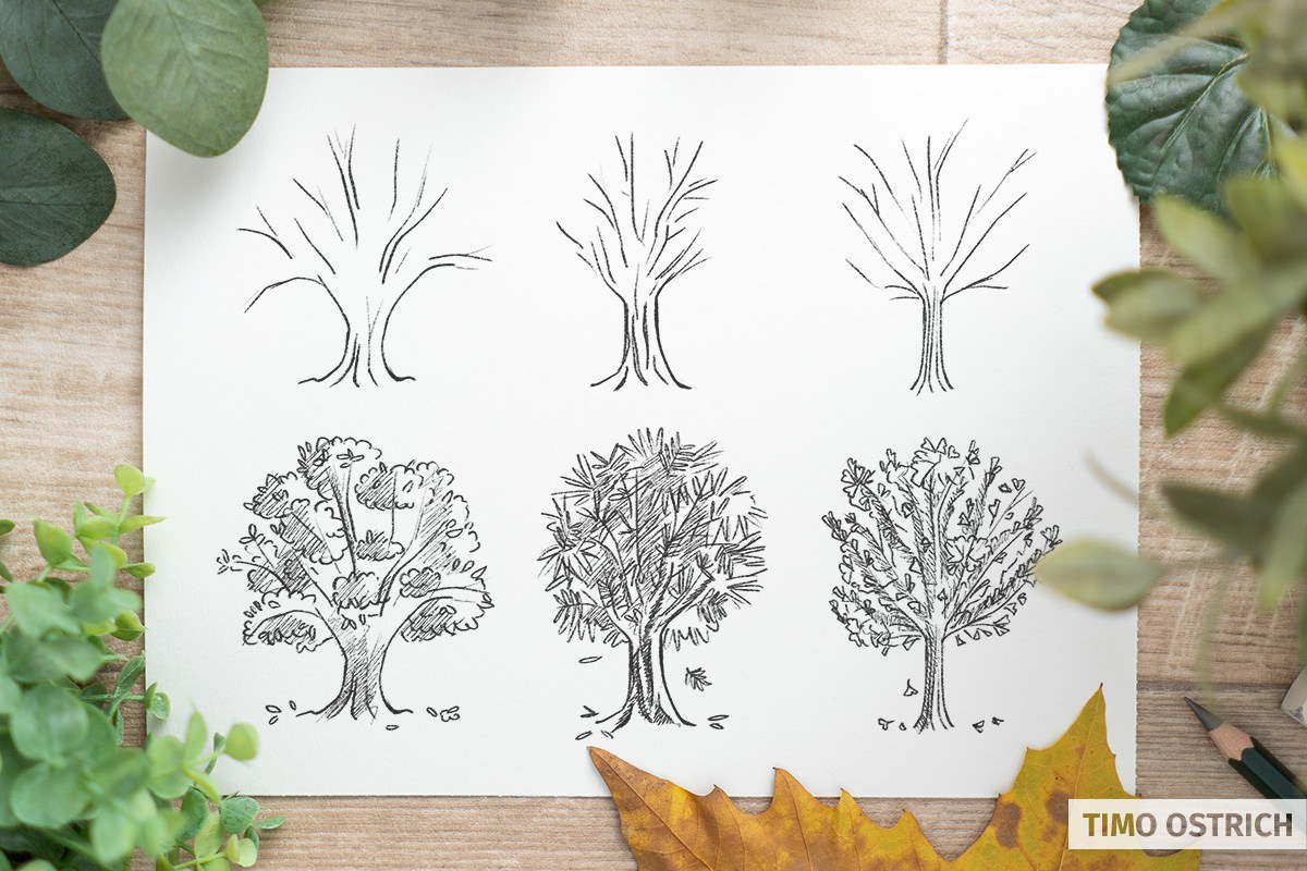 Blätter zeichnen am Baum